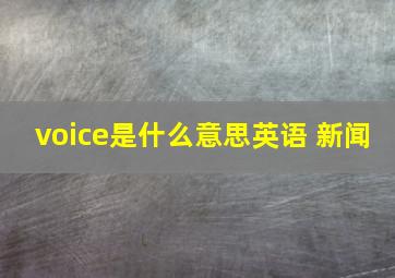 voice是什么意思英语 新闻